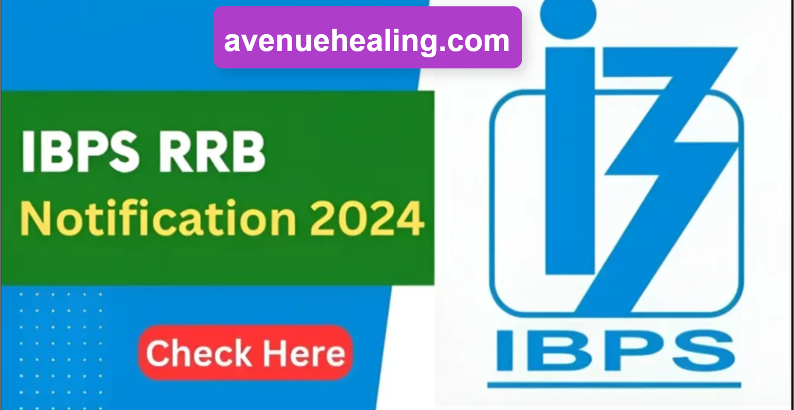 IBPS RRB Notification 2024 PDF Released: Apply Online for 9000+ Office Assistant/Clerk & Officer/PO Recruitment