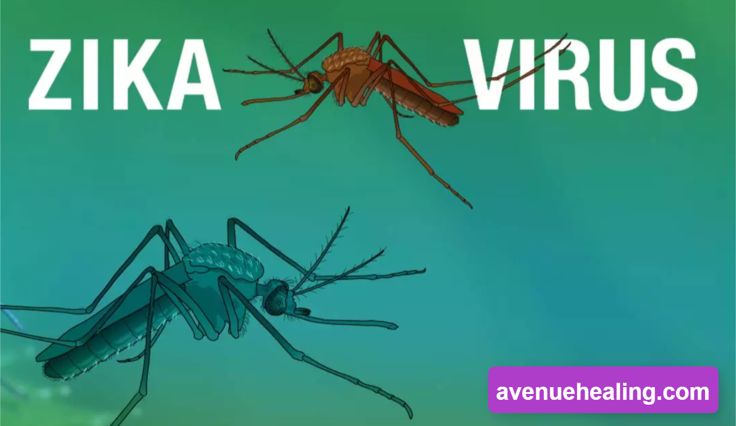 Zika Virus : Know Symptoms, Health Risks, and Ways to Stay Protected